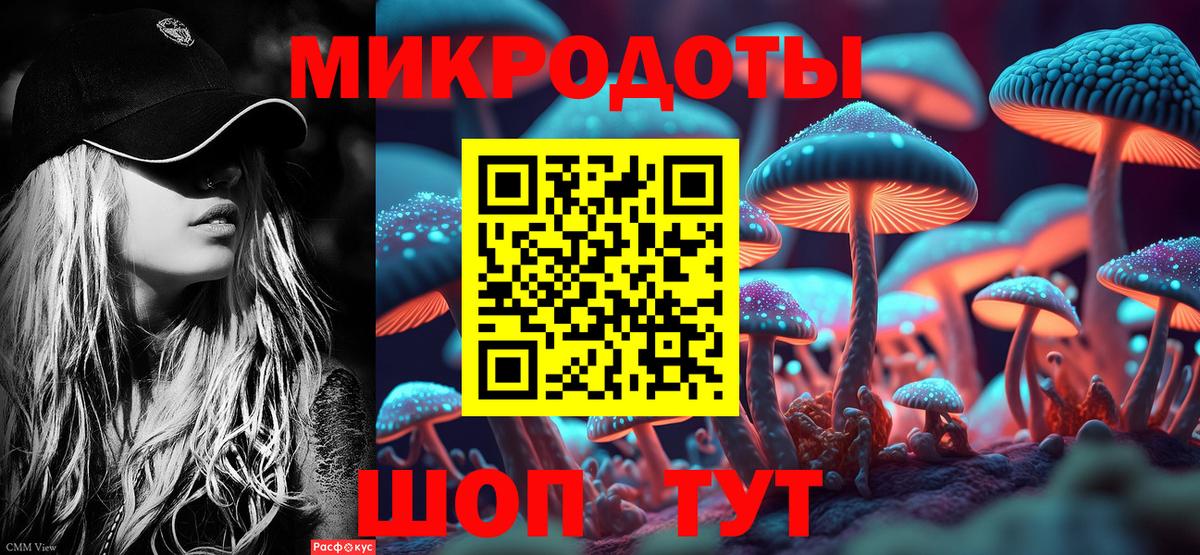 Галлюциногенные грибы мицелий Гусь-Хрустальный