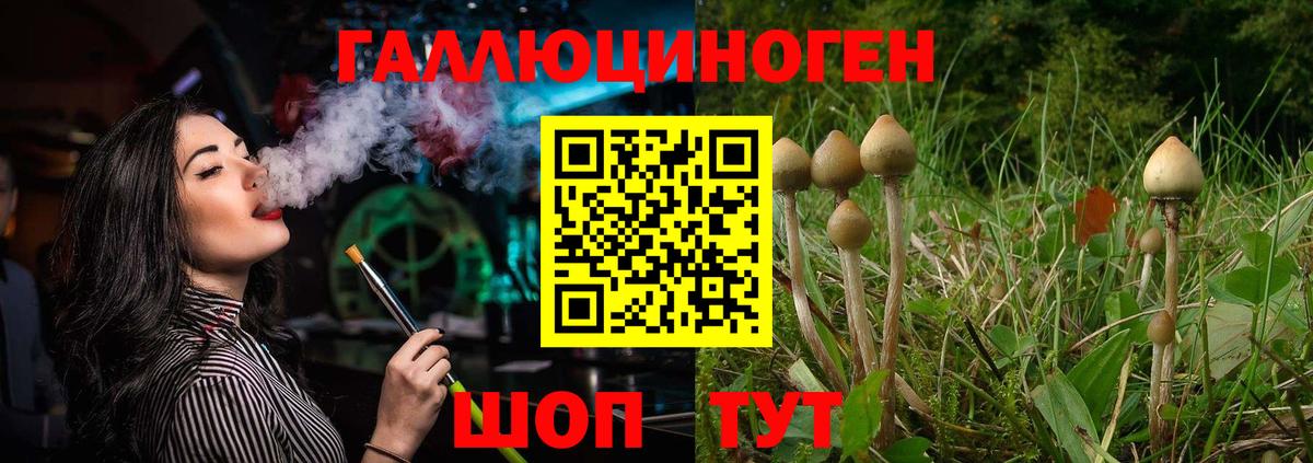 Галлюциногенные грибы Psilocybe  Вход с VPN  Гусь-Хрустальный 